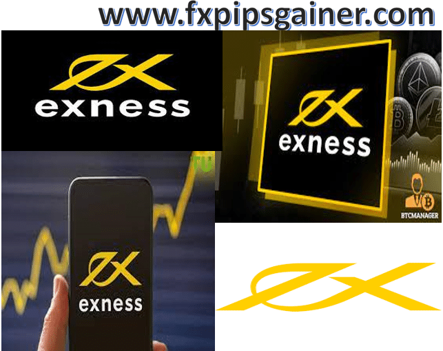 Understanding the Dynamics of Trading With Exness Metatrader 5 Understanding the Dynamics of Trading With Exness Metatrader 5