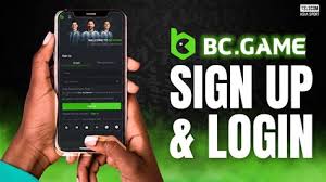 Exploring the World of Online Gaming at Crypto Casino BC Game