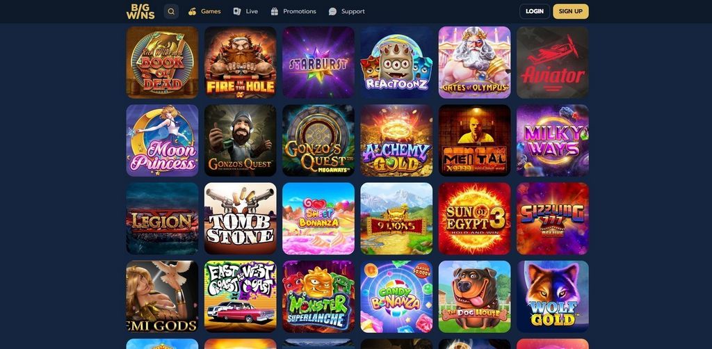 BigWins Gambling enterprise 2025